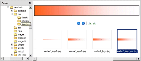 Logografiken im Ordner CSS